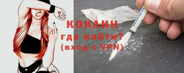 эйфоретик Арсеньев