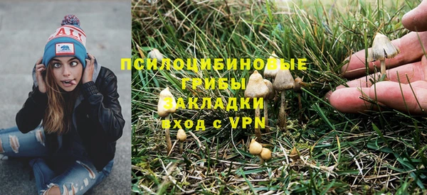 эйфоретик Арсеньев