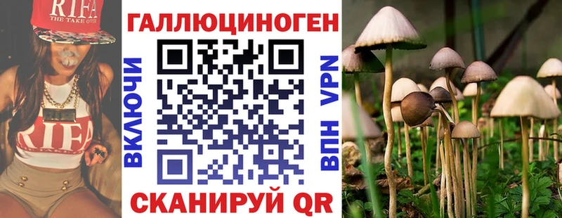 ОМГ ОМГ как войти  Тейково  Галлюциногенные грибы GOLDEN TEACHER 
